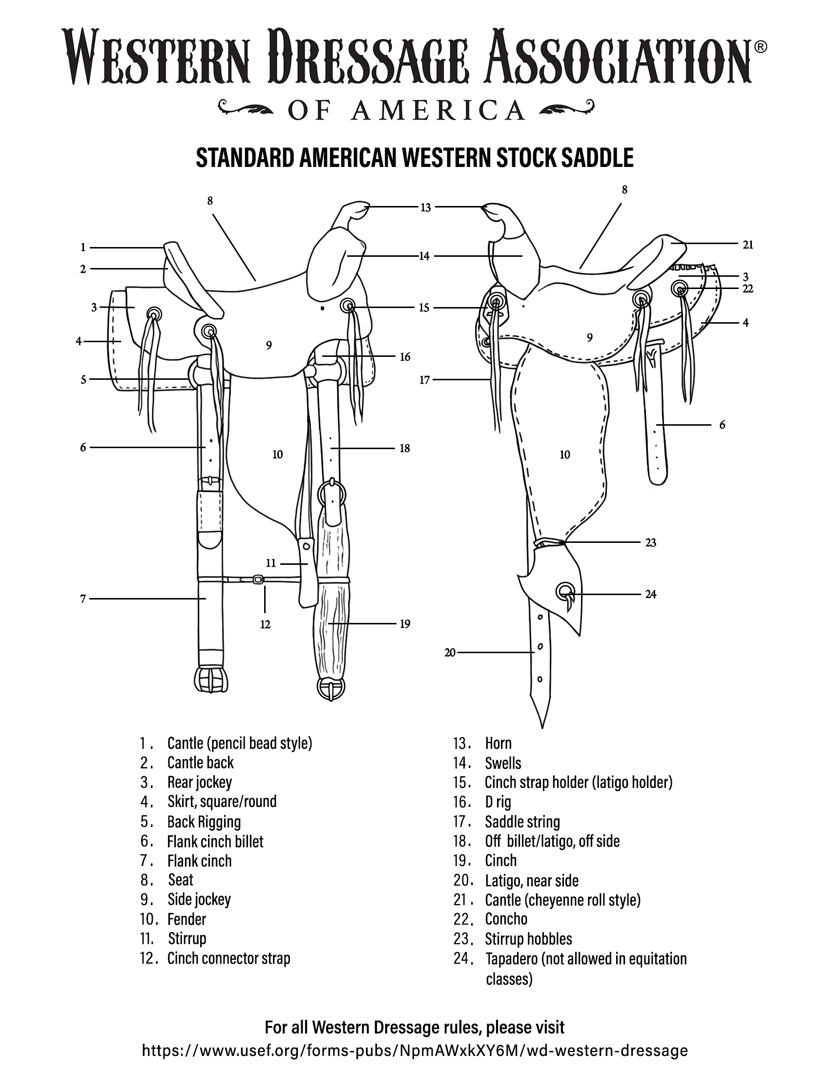 Standard Western Saddle Diagram