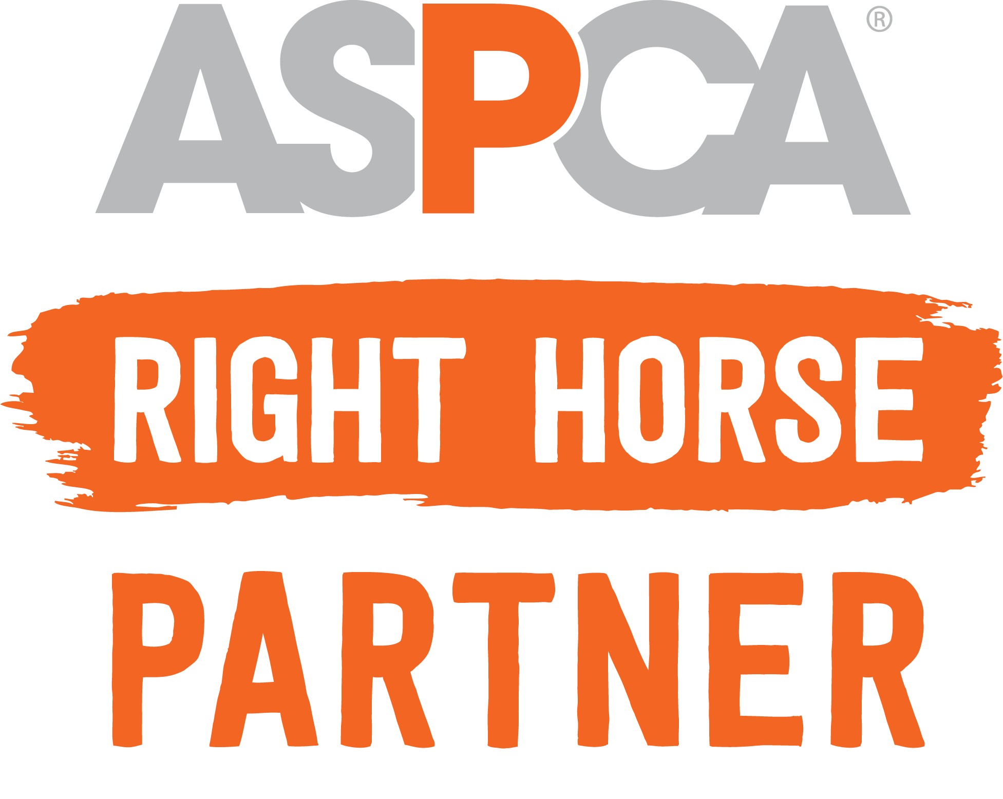 WDAA Partner | ASPCA Right Horse