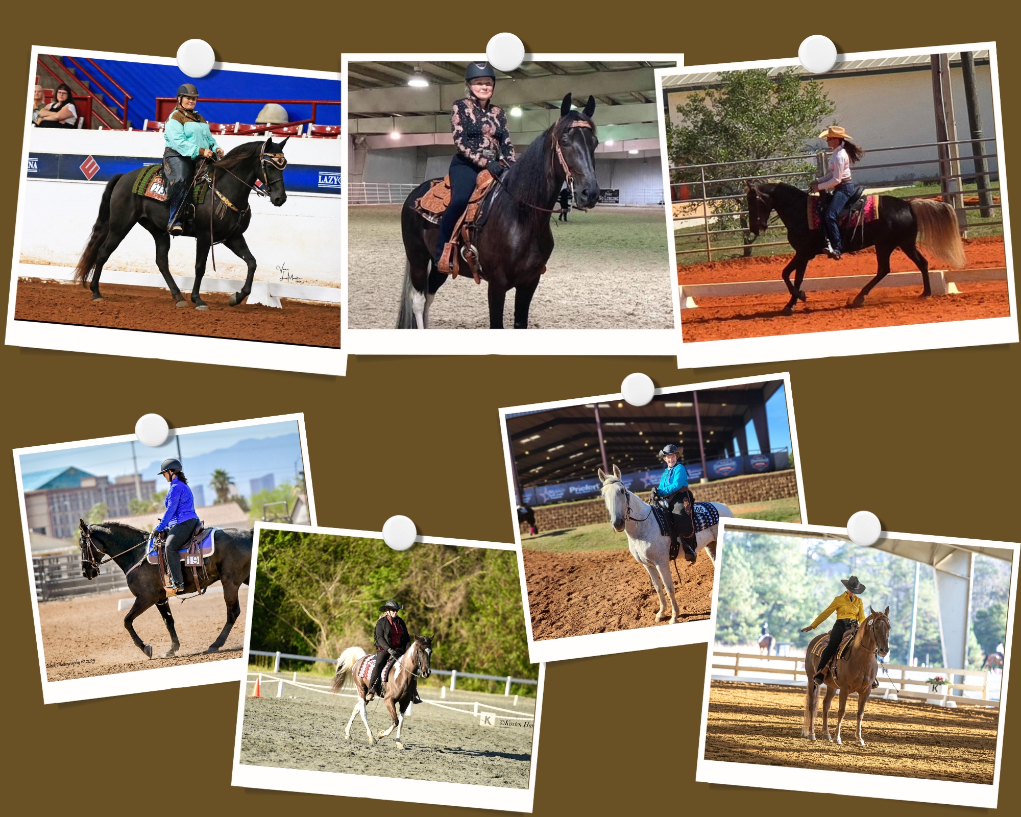 WDAA Gaited Horses and Mules