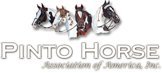 WDAA Breed Alliance Partner - Pinto Horse Association of America